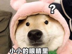 -爱康国宾体检中心(建国门分院)
