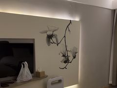 -白玉兰酒店(上海田子坊马当路地铁站店)