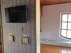 -金山农民画村-枫泾波兰倒置屋