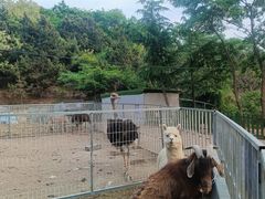 -百果山乐享果玩