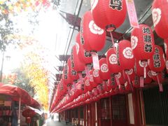 -新加坡佛牙寺龙华院