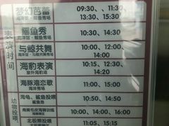 -芜湖新华联大白鲸海洋公园