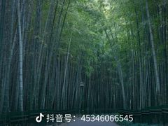-杭州植物园