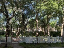 -皇家月府月子中心(沈阳店)