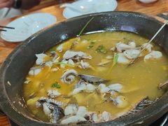 -大鼎石锅鱼(春江里店)