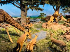 -国家自然博物馆