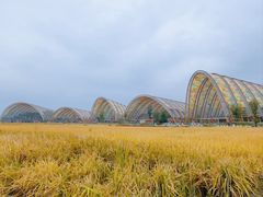 -中国天府农业博览园