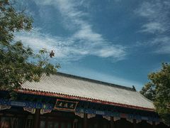 -柿子树炭烤羊腿(金台路店)