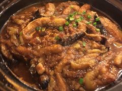 -锦江宾馆-花园餐厅