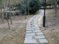 -宝界山林公园