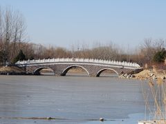 -大兴滨河森林公园