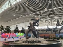-青岛胶东国际机场