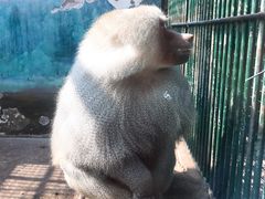 -无锡动物园·太湖欢乐园