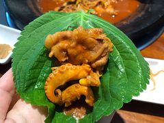 -红辣椒八爪鱼特色韩国料理