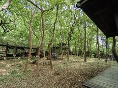 -宝岩生态观光园