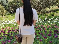 -北京植物园南门售票处