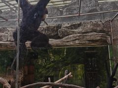 -南宁市动物园