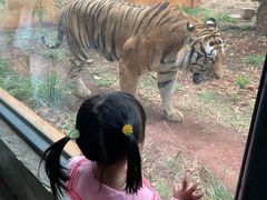 -昆明动物园