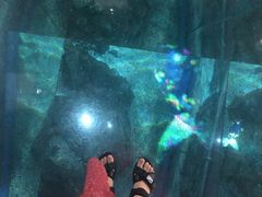 -暹罗海洋世界