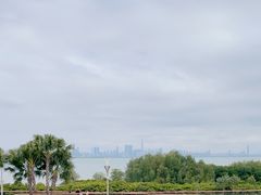 -深圳湾公园(南山区)