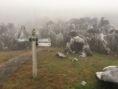 -千岛湖石林