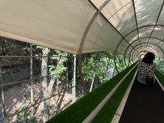 -藏龙百瀑风景区