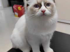 -联合动物医院(光谷诊疗中心)