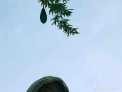 -朝阳体育中心