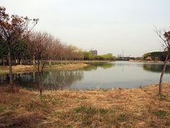 -昆山城市生态森林公园