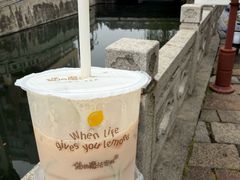 -猫的魔法密林(衣裳街店)