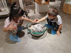 -more than meow吴止猫主题餐厅(承德 中船汇店)