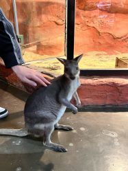 -Zoolung Zoolung动物主题公园(海信广场店)