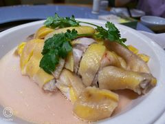 -琼菜人家·海南菜·文昌鸡(文昌大道店)
