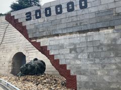-侵华日军南京大屠杀遇难同胞纪念馆-停车场