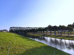 -迪茵湖田家舍生态农场