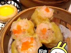 -虾饺妹·酒家(金碧店)