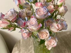 -耶里夏丽·新疆菜(东方路店)