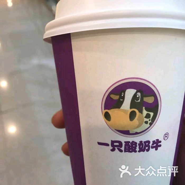 一只酸奶牛图片-北京甜品饮品-大众点评网