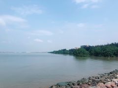 -宝安西湾红树林湿地公园