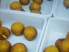 -尚荟汤泉生活馆