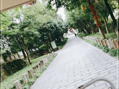 -常德桃花源景区
