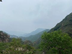 -大岭沟猕猴桃谷风景区