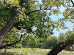 -莲池书院博物馆