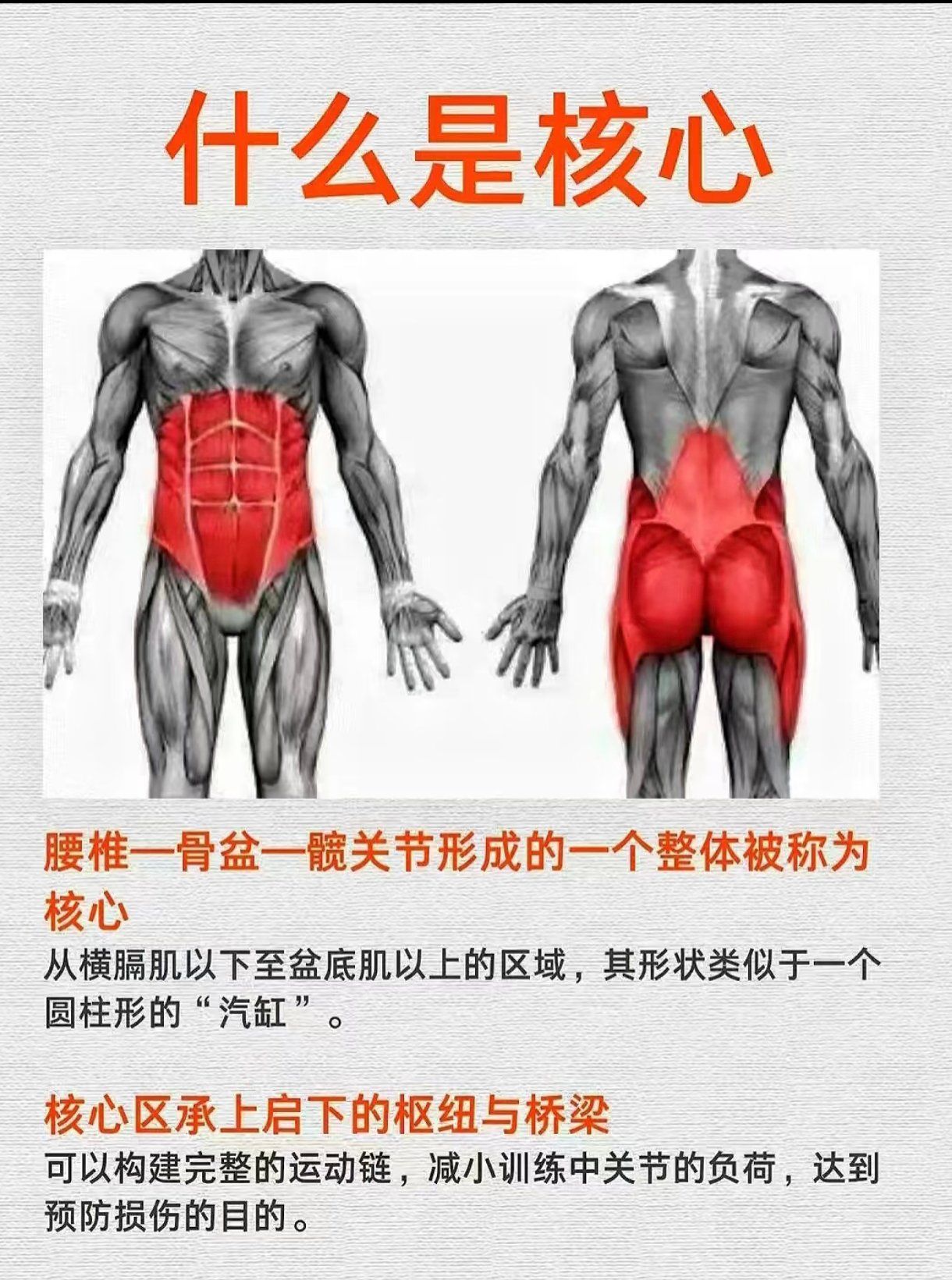 腰什为痛么跟肉肌部腹有关?
腹部肌