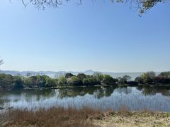 -上海市保健医疗中心