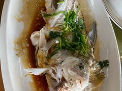 -八仔大富楼·河鲜(西江店)