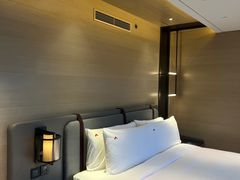 -新加坡瑞士史丹福酒店