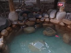 -张家港金凤凰度假村温泉