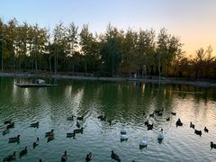 -中家鑫园温泉酒店鑫悦汤泉