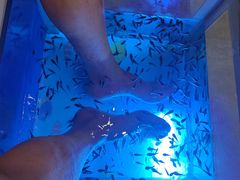 -汤连得温泉馆(宝山店)